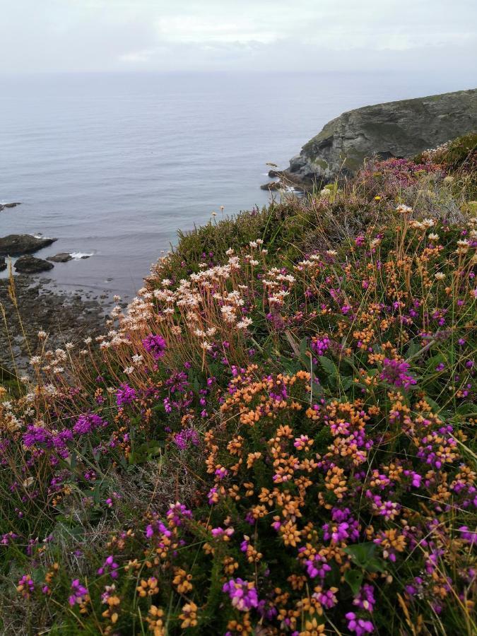 Captivating Isolde Cottage With Pool Near St Ives Camborne Kültér fotó