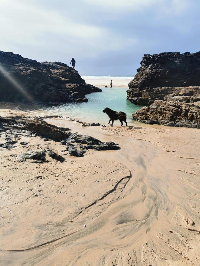 Captivating Isolde Cottage With Pool Near St Ives Camborne Kültér fotó